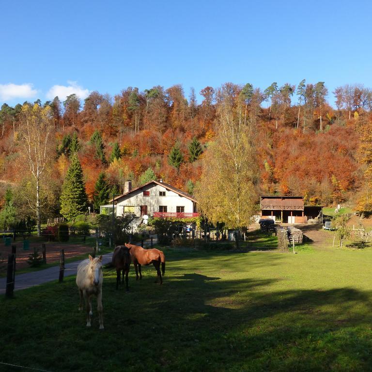 L'Echappee Verte - Gite Equestre 5 Pers Soucht Room photo