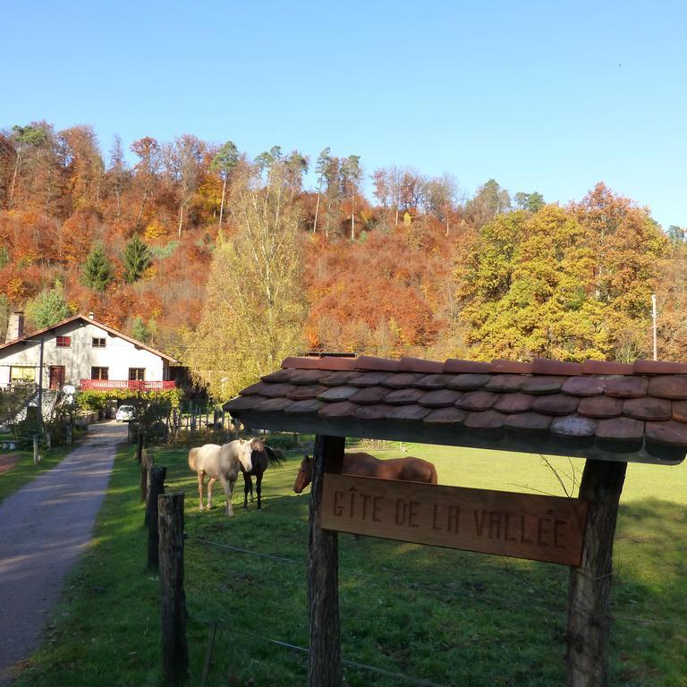 L'Echappee Verte - Gite Equestre 5 Pers Soucht Room photo