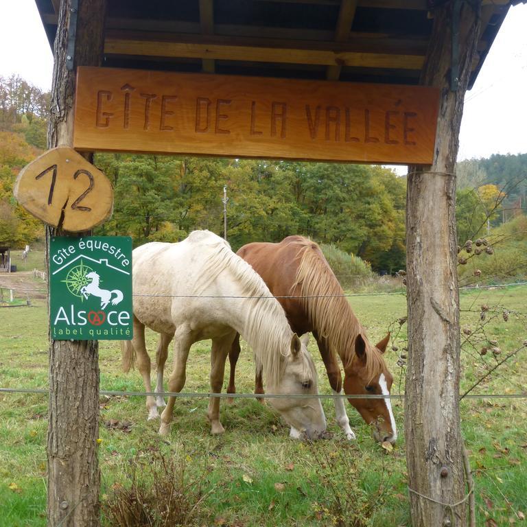 L'Echappee Verte - Gite Equestre 5 Pers Soucht Exterior photo